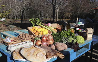The Edible Agroforestry - A New Concept For A Sustainable Tourism